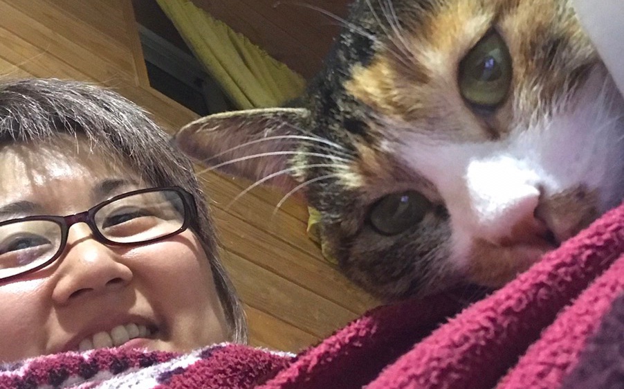 この仕事をはじめたきっかけは?