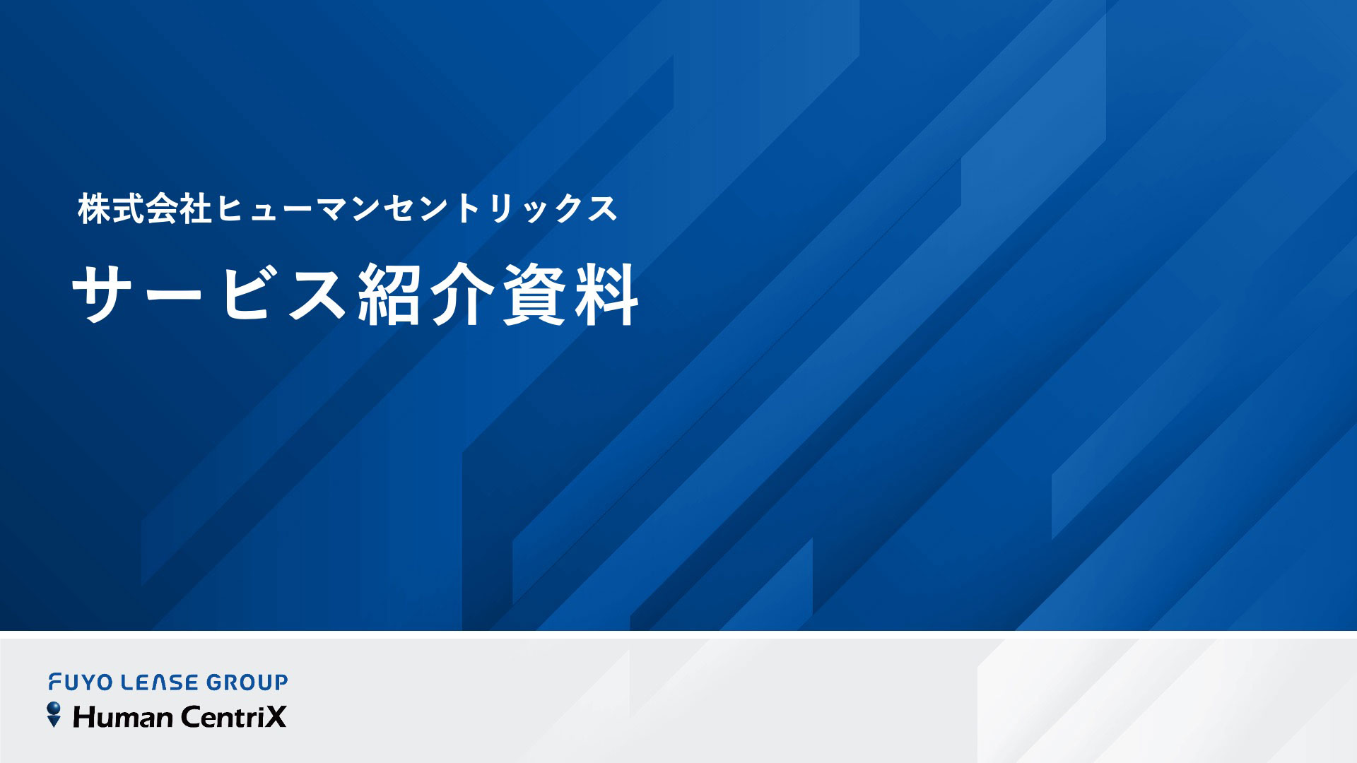 service-introduction