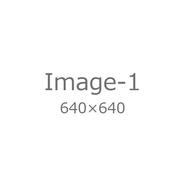 FE 24-105mm F4 G OSS